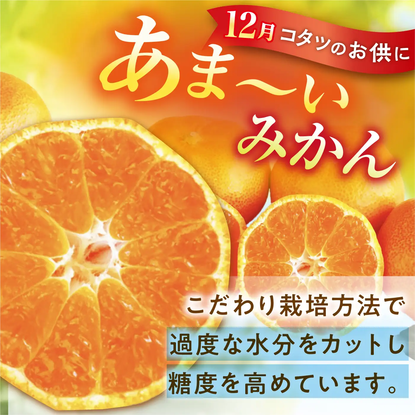 旬のフルーツ定期便 4回 フルーツ定期便 [ACAA494]