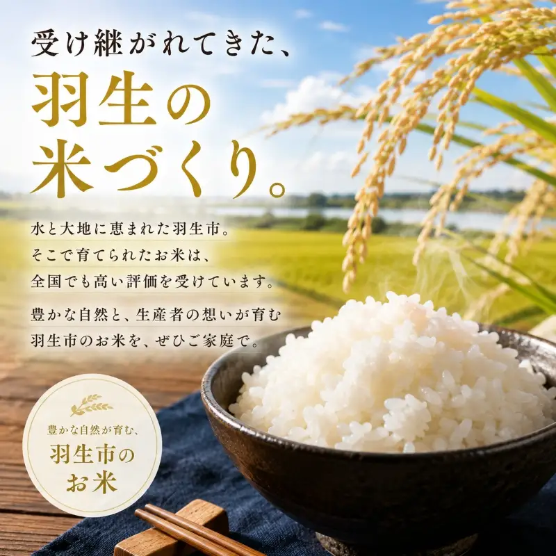 無洗米 彩のきずな 10kg 米 無洗
