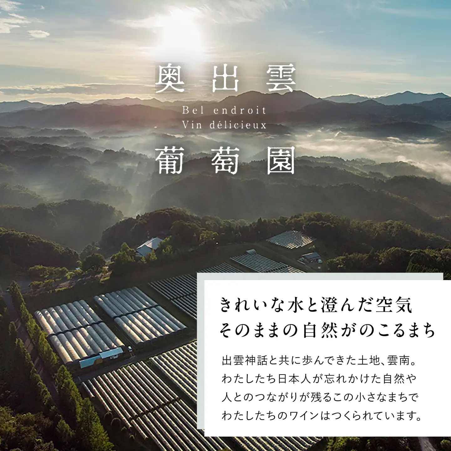 ソーヴィニヨンブランバレル 1本 750ml 白ワイン 樽熟成 国産 島根県雲南市/有限会社奥出雲葡萄園[AICS114]