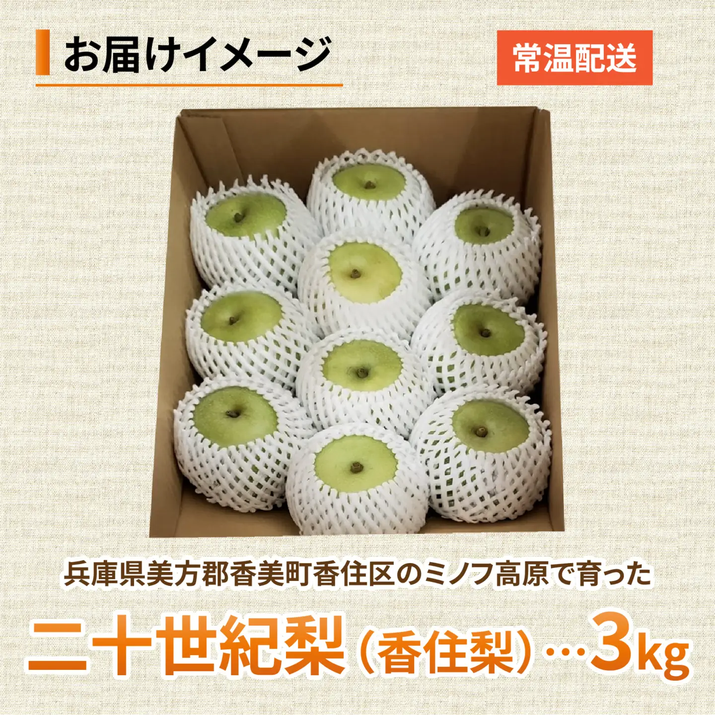 【先行予約】二十世紀梨（香住梨） 3kg ※2026年9月より順次発送 