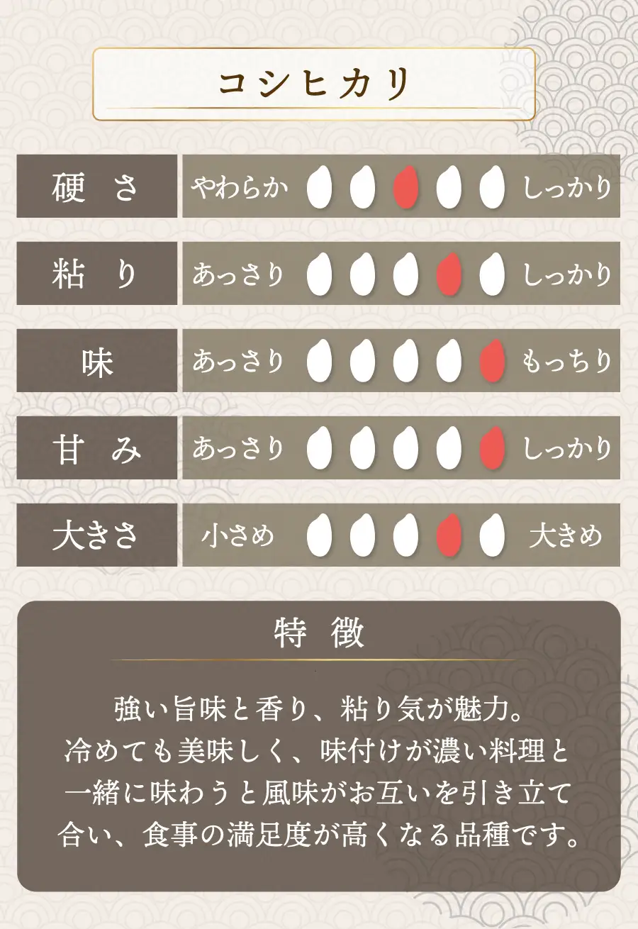 【定期便3回】コシヒカリ 20kg（10kg×2）令和7年産 [095-t03-a203]