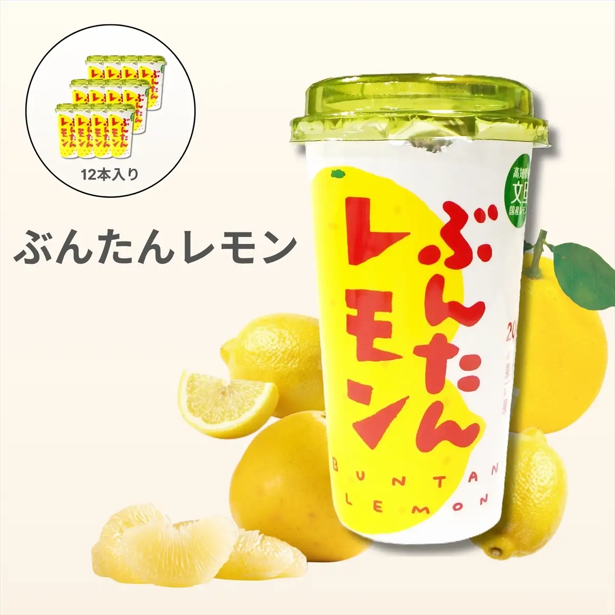 ぶんたんレモン　ストロータイプ　200ml　12本入り（高知アイス）