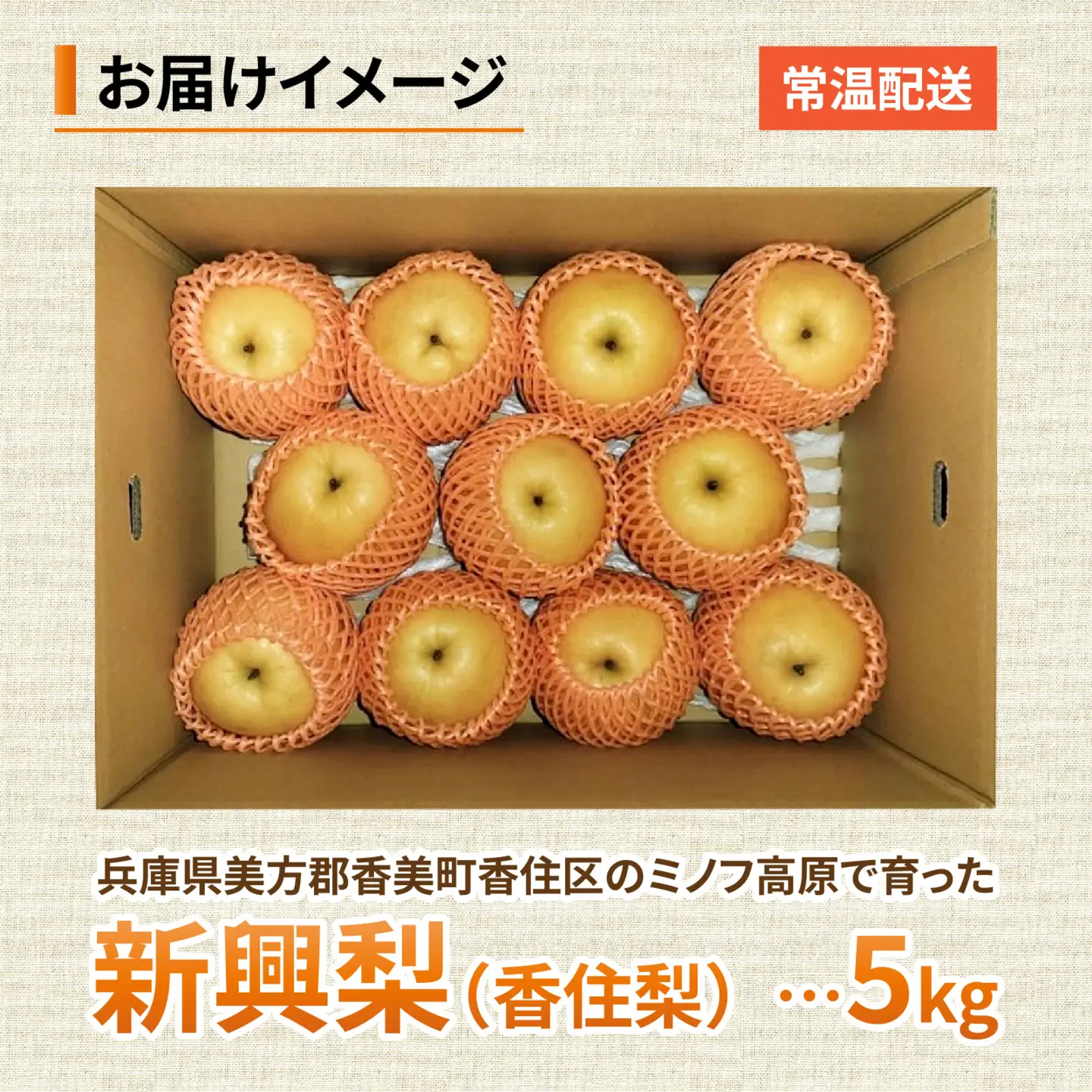 【先行予約】新興梨 (香住梨) 5kg  ※2026年10月15日より順次発送