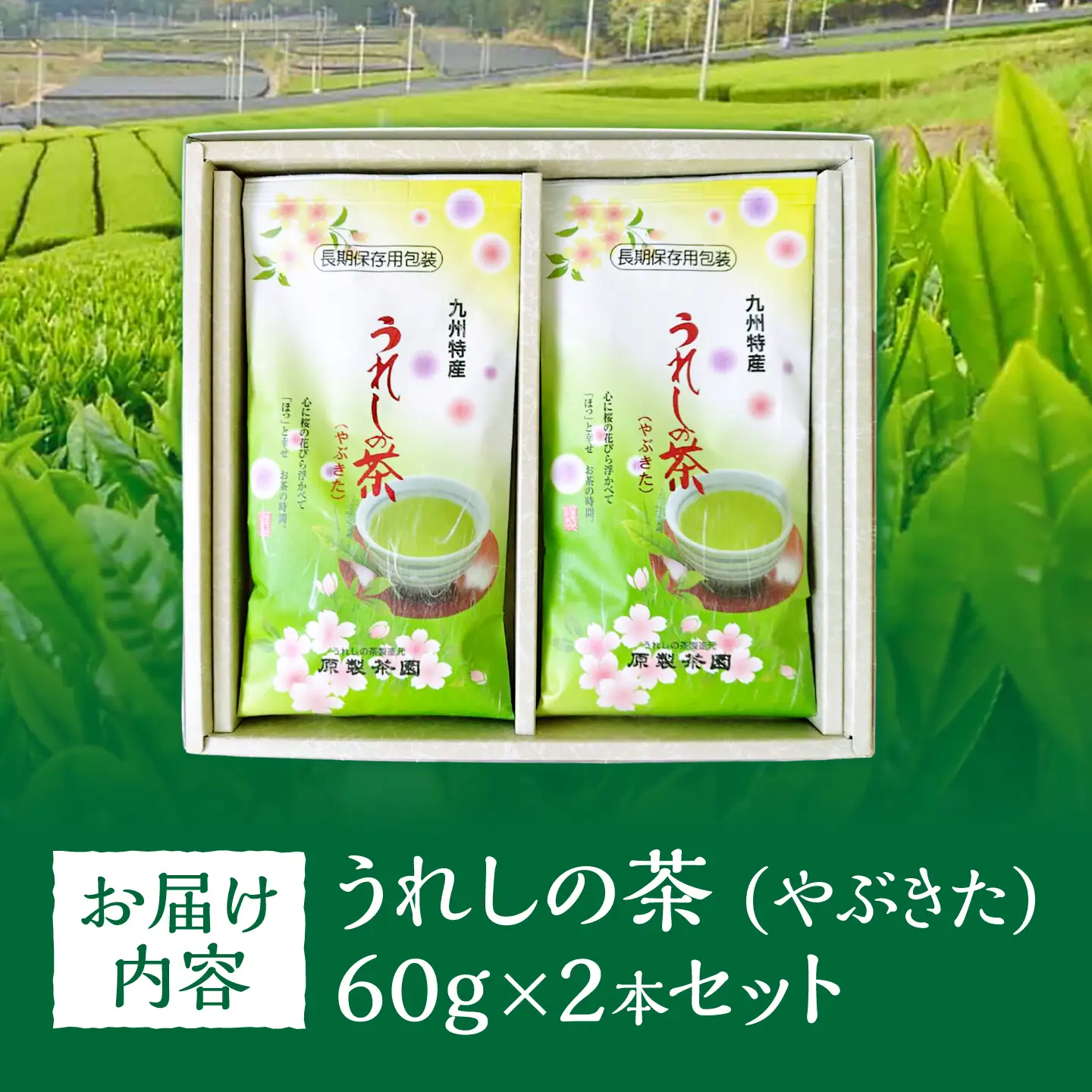 うれしの茶 やぶきた 2本セット 緑茶 茶葉 嬉野茶 お茶 煎茶 /有限会社 原製茶園[UEJ009]