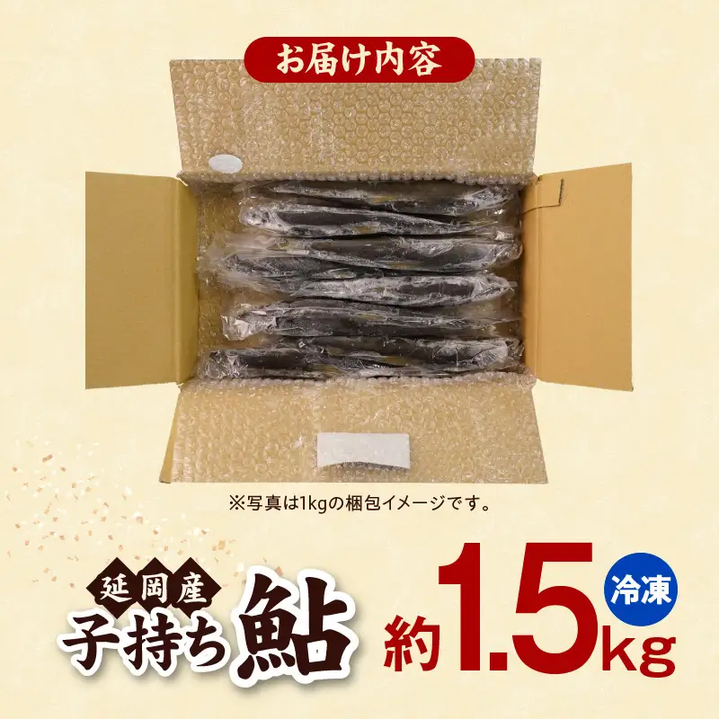 【冷凍】子持ち鮎約1.5kg N070-YB1106-2