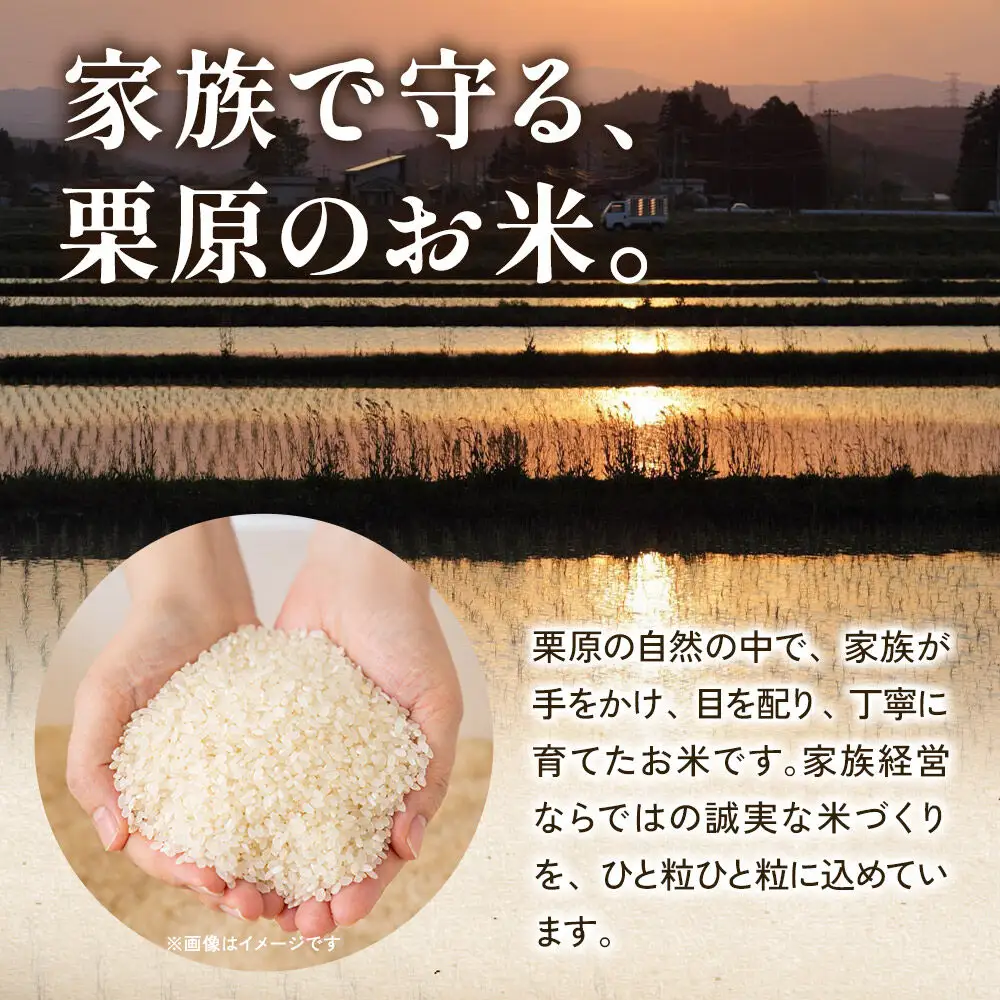 栗原育ちの黒澤農産のお米 令和7年産 白米 だて正夢 27kg
