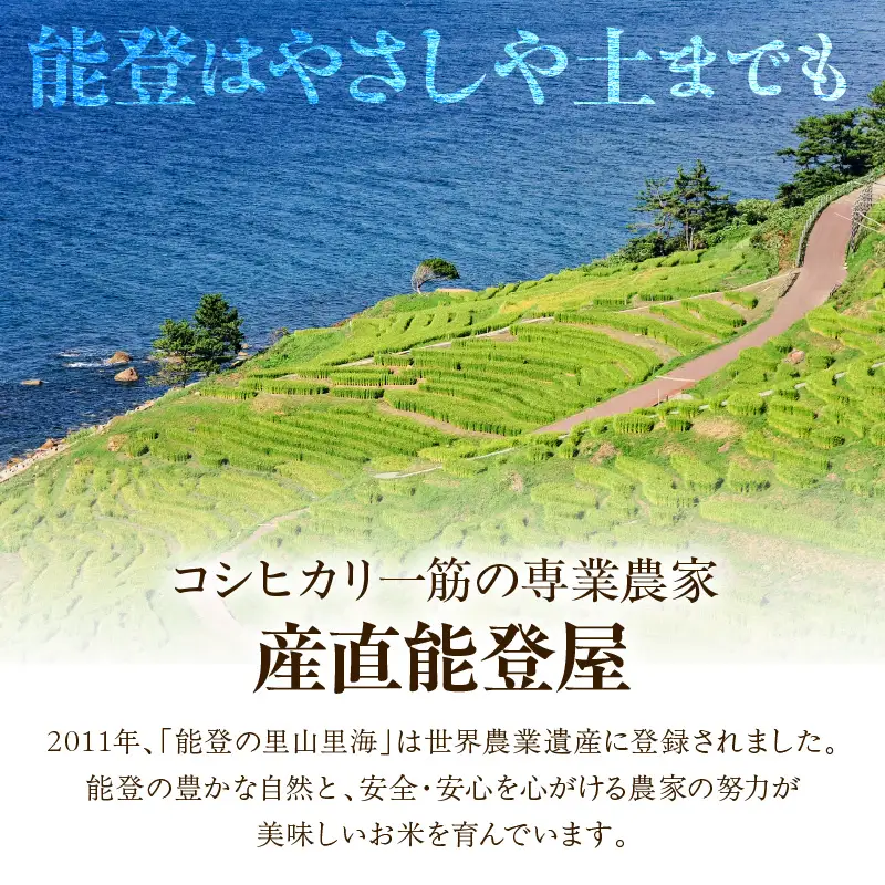 7月発送 R8年産 コシヒカリ 2kg 無洗米 wa084 無洗米 米