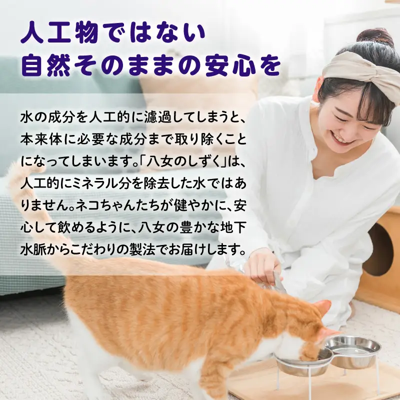 ネコ専用非加熱天然水 八女のしずく （2L×6本） 八女のしずく ねこ専用水 猫用天然水 ペット用天然水 超低カリウム 尿路結石配慮 軟水 pH 7.3 非加熱 猫の健康 水分補給 八女 016-038