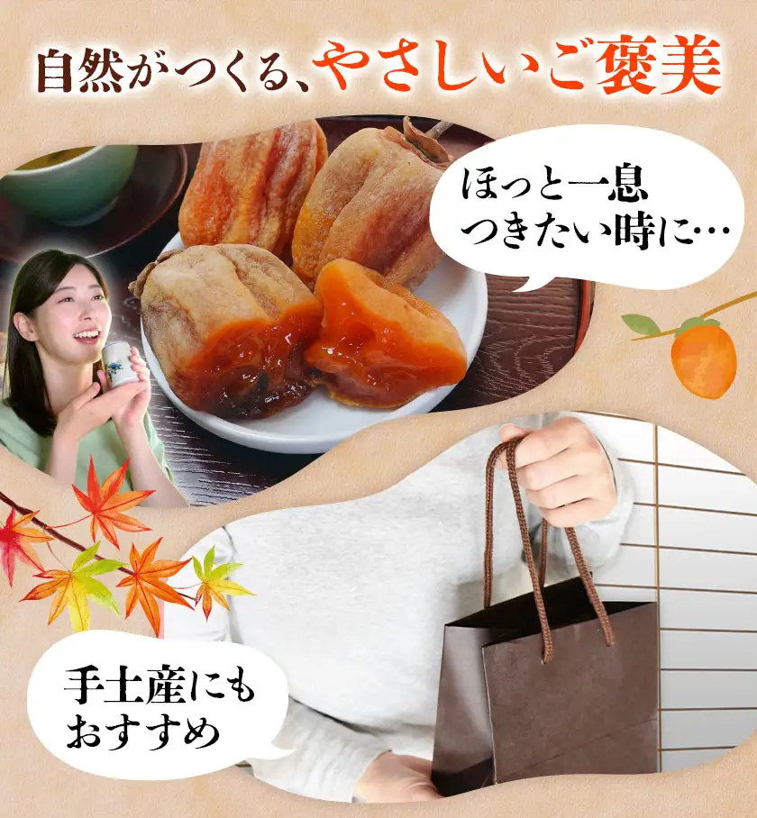 【先行予約】半生干し柿 御船藤農園 18個《2026年11月上旬-2027年1月中旬頃出荷》