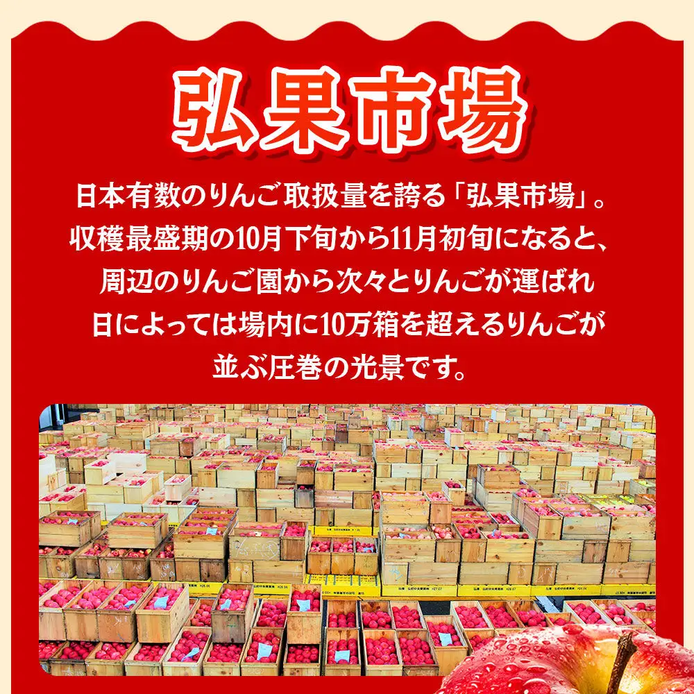 【26年11月発送】りんご サンふじ【贈答用】約3kg 糖度13度以上 青森県 弘前市