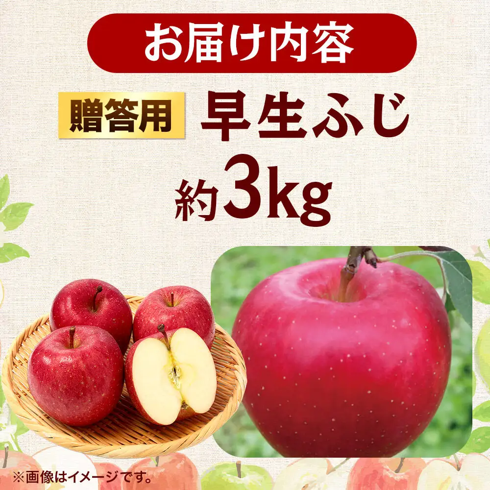 【26年10月発送】りんご 早生ふじ【贈答用】約3kg 青森県 弘前市