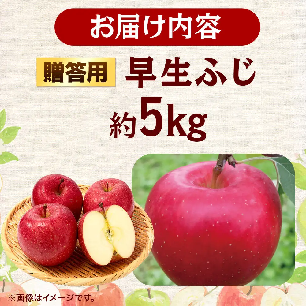 【26年10月発送】りんご 早生ふじ【贈答用】約5kg 青森県 弘前市