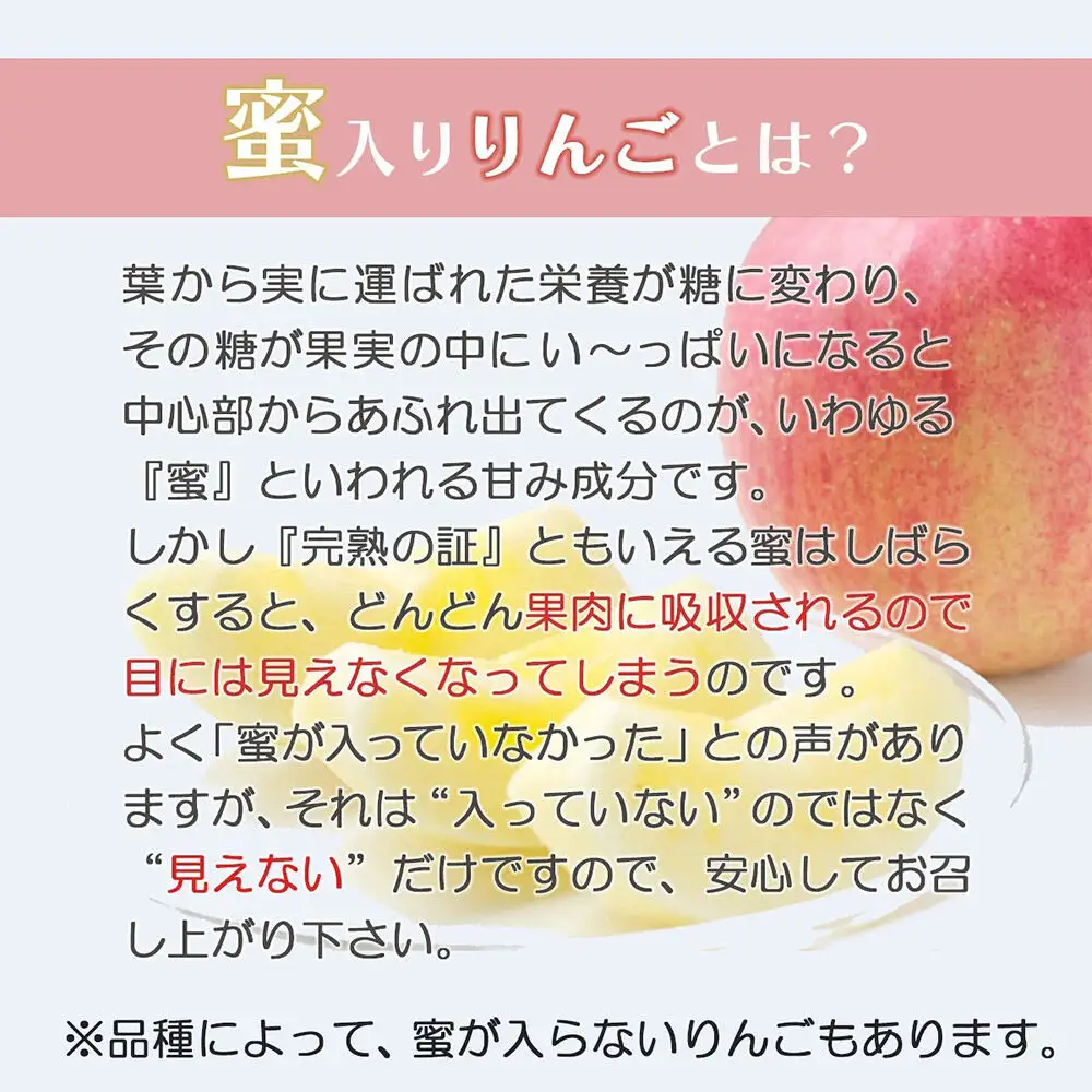 【26年10月中旬～発送】りんご 弘前ふじ【贈答用】約5kg 内のし付き 青森県 弘前市