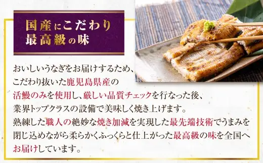 鹿児島県産 無頭 特大うなぎ 蒲焼 約190g×1尾 うなぎ 鰻 ウナギ 国産 冷凍 AS-056