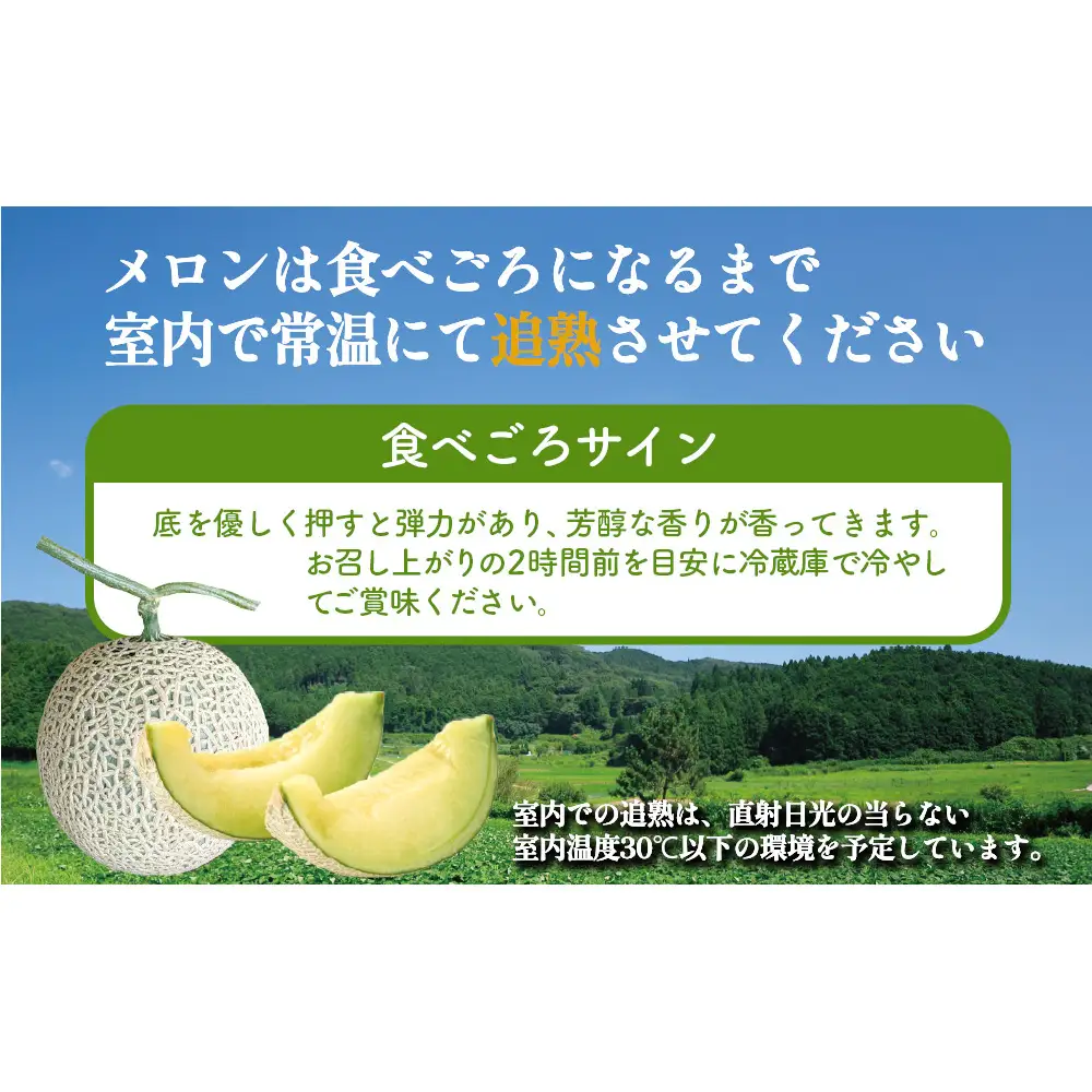 【期間限定】有機メロン「あま玉」1玉 Lサイズ 1.4kg～【R8年7月15日より順次発送】
