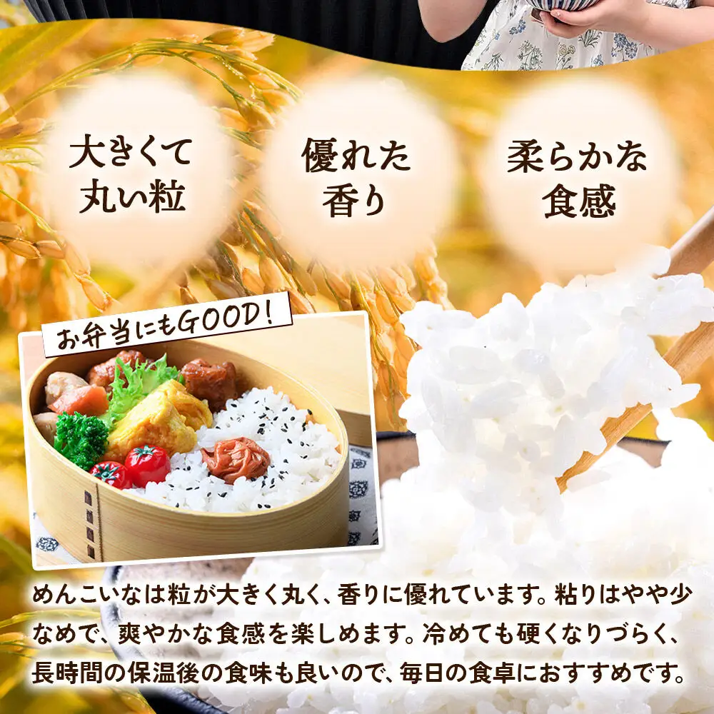 生活応援 数量限定《令和7年産》【白米】めんこいな 10kg（5kg×2袋） 秋田県 横手市