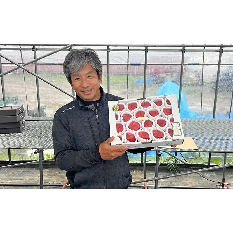 いちご 朝倉市産 あまおう L～3L 20玉×2箱 イチゴ 苺 果物 デザート ※配送不可：離島