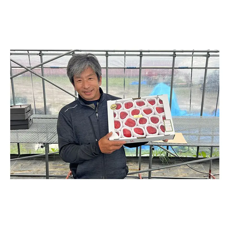 いちご 朝倉市産 あまおう L～3L 20玉 イチゴ 苺 果物 デザート ※配送不可：離島