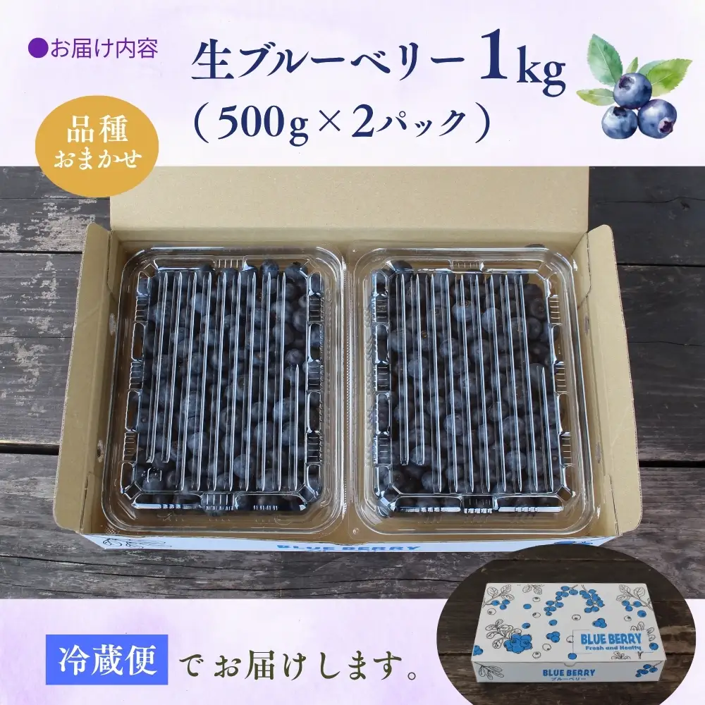 【先行予約】生ブルーベリー 約1kg(500g×2) フルーツ 果物 ベリー 【kbkb001-01】