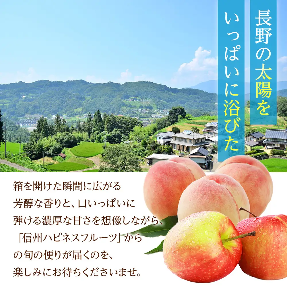 【※2027年8月発送分　先行受付】長野市生まれ　奇跡の川中島白桃2kg　家庭用　信州ハピネスフルーツ | 桃 もも