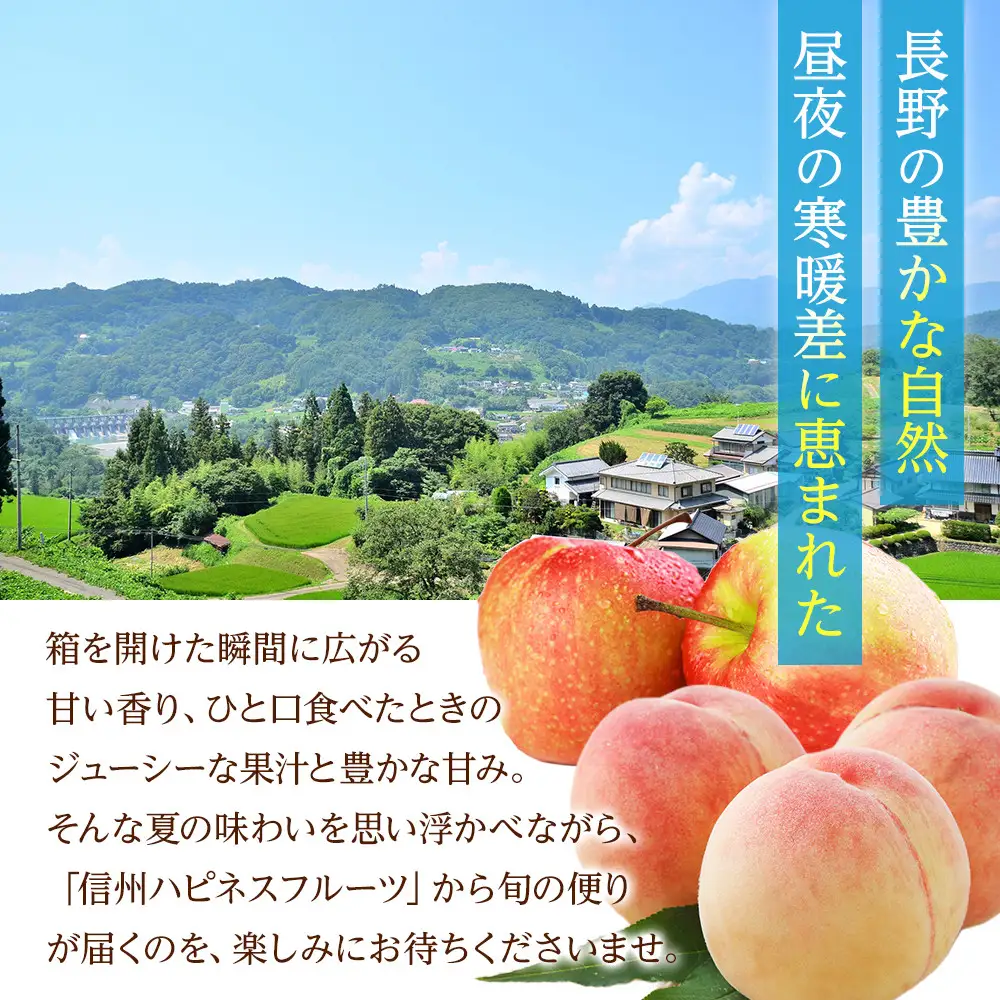 【※2027年8月発送分　先行受付】長野市産甘さあふれる信州なつっこ2kg｜訳ありでも感動の果汁体験セット　なつっこ