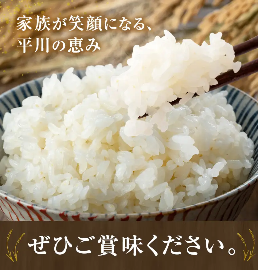 ひらかわ清流米 5kg×1袋 生産物直売所ひらかわ屋 《30日以内に出荷予定(土日祝除く)》お米 白米 鹿児島県 鹿児島県産 さつま町 精米 ごはん