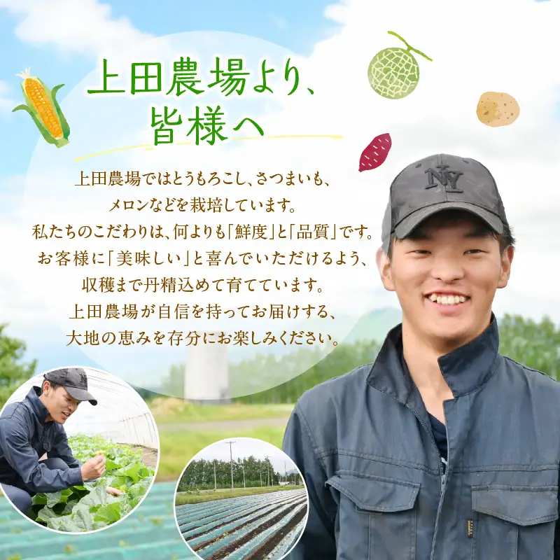 とうもろこし 北海道十勝芽室町 とうもろこし 20本 スイートコーン