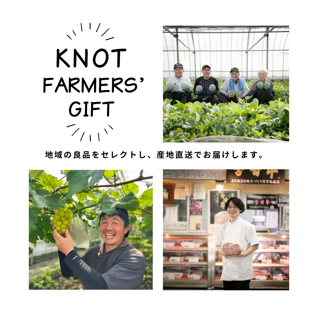 旬のもぎたて梨3kg（フルーツ 梨 贈答用 産地直送 契約農場 おすすめ ふるさと 宮崎)