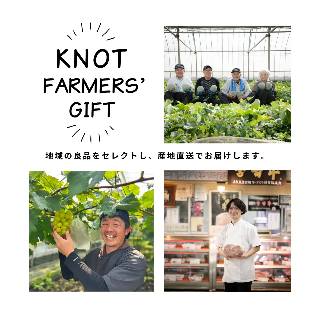 【定期便】契約農場の旬のフルーツよくばりコース（定期便 シャインマスカット ぶどう 梨 フルーツ 贈答用 産地直送 契約農場 おすすめ ふるさと 宮崎)
