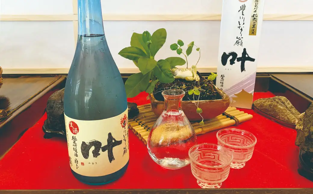 料理旅館吞龍 ペア ご宿泊券 （ 2名様 ）【 2027年5月下旬まで発送予定 】