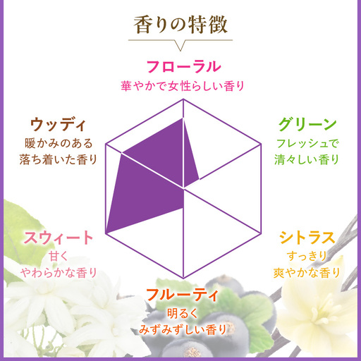 ソフラン アロマリッチ Juliette（ジュリエット） 詰替え用380ml×20個