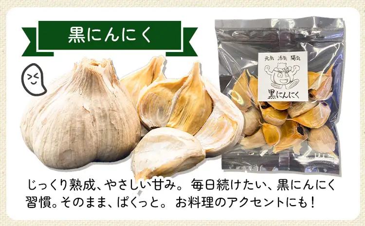 にんにく 4種 セット計4袋 各1袋 株式会社ANELA GROW