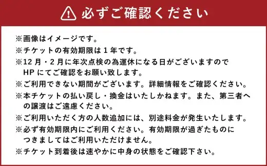 身延山 ロープウェイ 大人 往復 乗車券 2枚 ゴンドラ ロープウェー 利用券 乗車 乗り物 チケット 券 体験 観光 旅行 絶景 自然