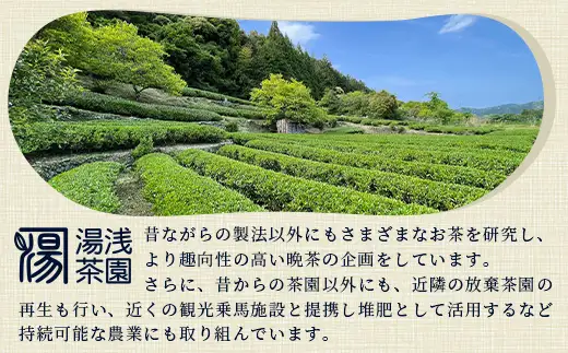 【先行予約】【新茶】令和8年産 湯浅茶園 阿波晩茶 200g 【2026年8月以降順次発送】 【徳島県 那賀町 徳島 那賀 阿波晩茶 相生晩茶 番茶 国産 生産者直送 乳酸菌 特産品 発酵茶 お茶 茶葉 赤ちゃん 子供 妊婦さん お取り寄せ お土産 伝統製法 手作り 数量限定 期間限定】YT-1_2026