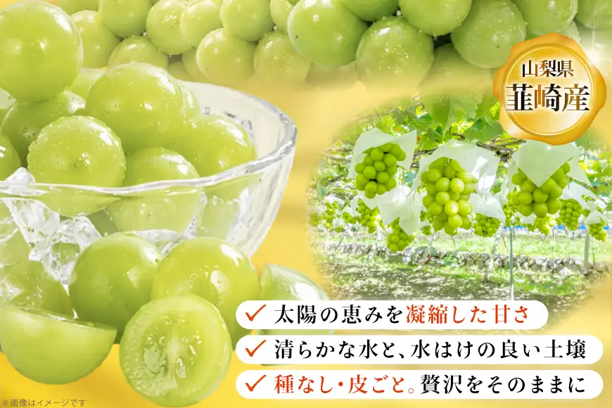 【2026年発送】 訳あり シャインマスカット 先行受付 小房 1kg