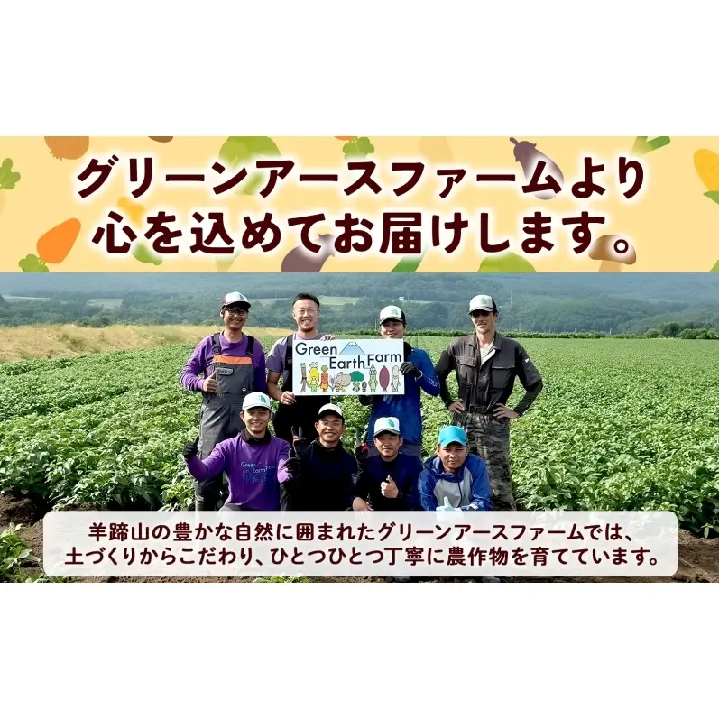 朝もぎ イエロー とうもろこし 恵味 2Lサイズ 26本 約10kg 大きめ 夏野菜 とうきび 旬 新鮮 野菜 トウモロコシ 甘い ギフト 産地直送 コーン 産直 グリーンアースファーム 送料無料 北海道 倶知安町