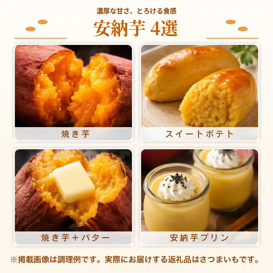【訳あり】さつまいも 熟成 安納芋 約10kg 焼き芋 焼芋 やきいも ねっとり 濃厚 蜜芋 芋 おいも サツマイモ さつま芋 安納いも スイーツ おやつ 国産 産地直送 栽培期間中農薬不使用 高知県 大月町産