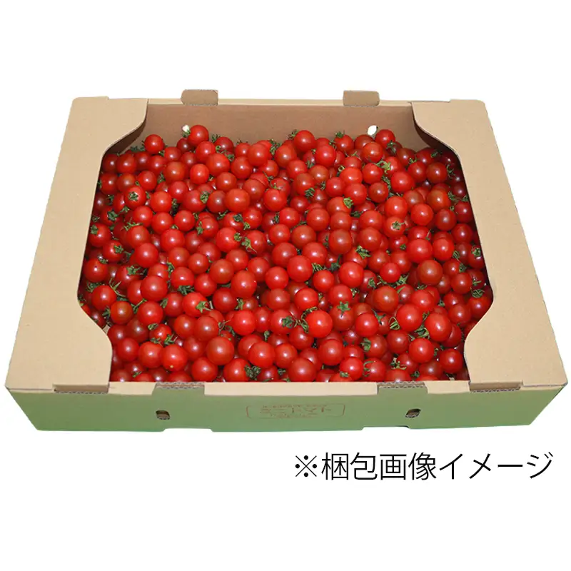 先行予約 ミニトマト 訳あり 3kg ミニトマト