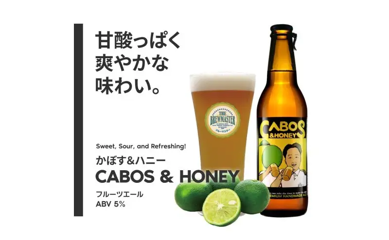 【福岡市城南区のクラフトビール醸造所】ブルーマスター コンプリートBOX：極みの5種 24本 飲み比べ