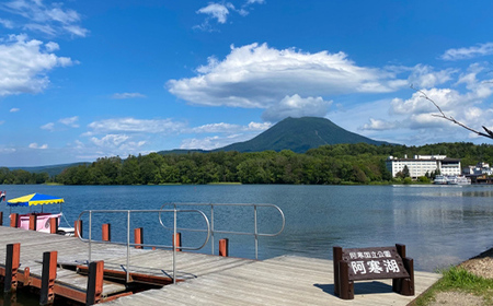 北海道釧路産 阿寒湖わかさぎ佃煮 250g×2 ふるさと納税 魚 F4F-1064