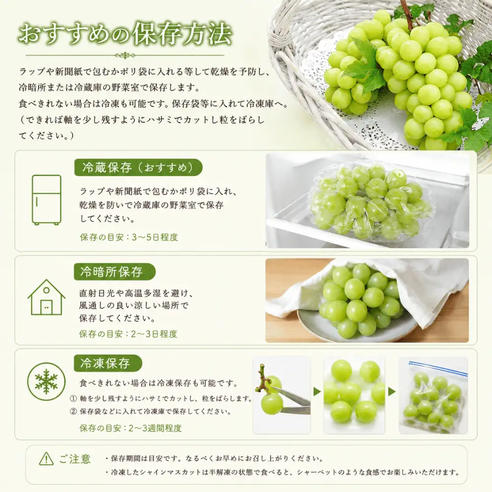 【ふるさと納税】 2026年発送 シャインマスカット 2房 1kg ふるさと納税 フルーツ ぶどう 果物 送料無料 山梨県産 2026 旬 大粒 高級 ブドウ 葡萄 西桂町 ふるさと納税 【 2026年発送 】