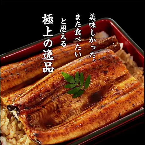 浜名湖産うなぎ蒲焼 2尾（約130g×2尾）たれ、粉山椒付き うなぎ 国産 浜名湖産 土用の丑 お中元 父の日 母の日 お歳暮 お誕生日祝い 内祝い お礼 静岡 浜松市【配送不可：離島】