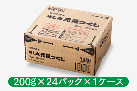 FE002.【定期便】福岡県産「元気つくし」無菌パックご飯(２４パック)×５ヶ月送付