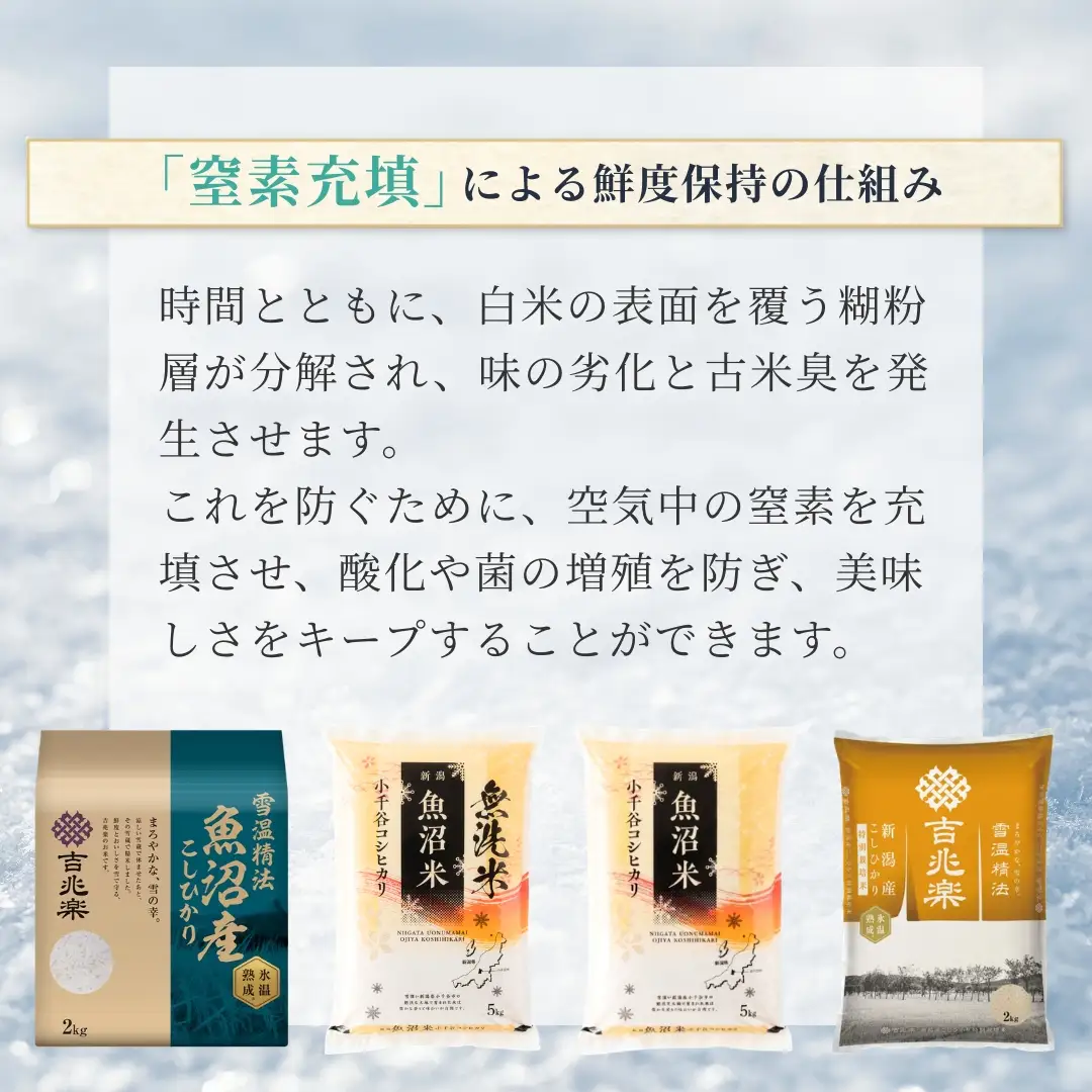 【 先行予約 コシヒカリ 】 魚沼産コシヒカリ 無洗米 定期便 5kg×12回 計60キロ 令和8年