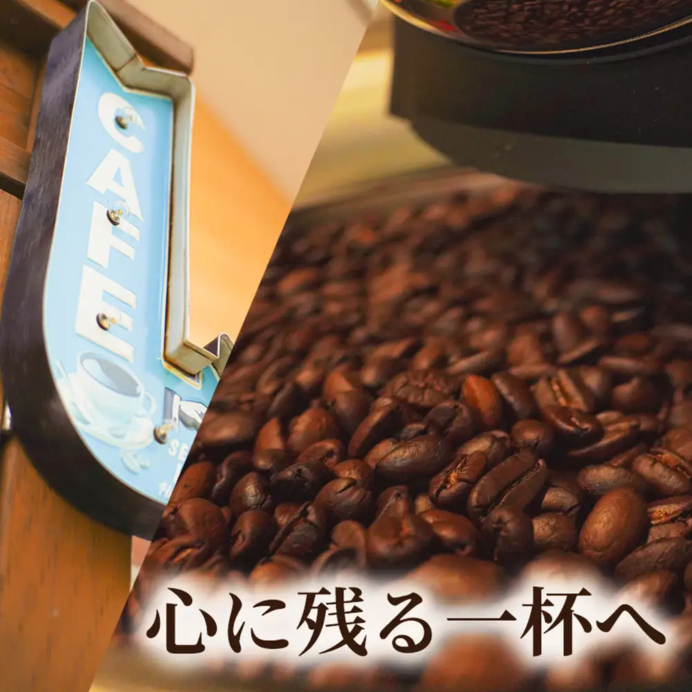 【定期便：全12回】自家製コーヒー豆 ドリップバック10個入×3セット【A20043】
