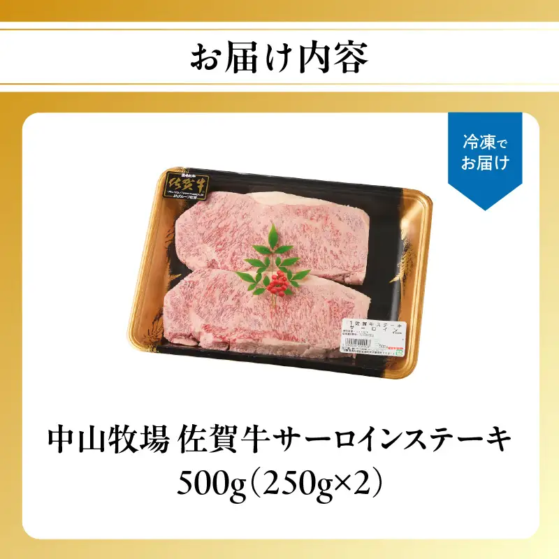 【最速配送】佐賀牛サーロインステーキ 500g ／ 焼肉 ステーキ 霜降り【C079】