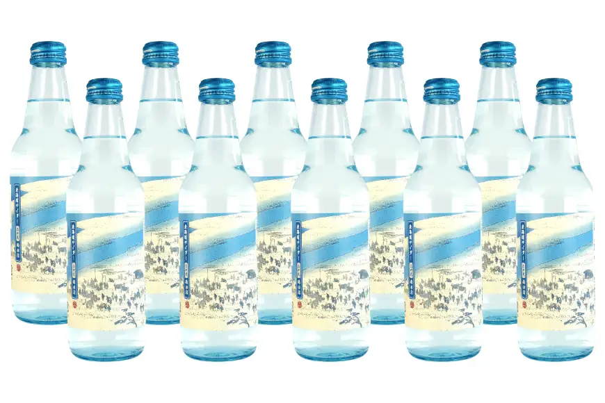 サイダー 東海道サイダー 340ml × 10本
