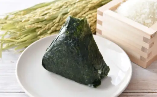 2切 20枚入 福岡有明のり しお海苔 のり 海苔 ノリ 食品 国産 福岡県産 有明のり ご飯 おにぎり 福岡 香り お弁当 風味 【 メール便対応 】