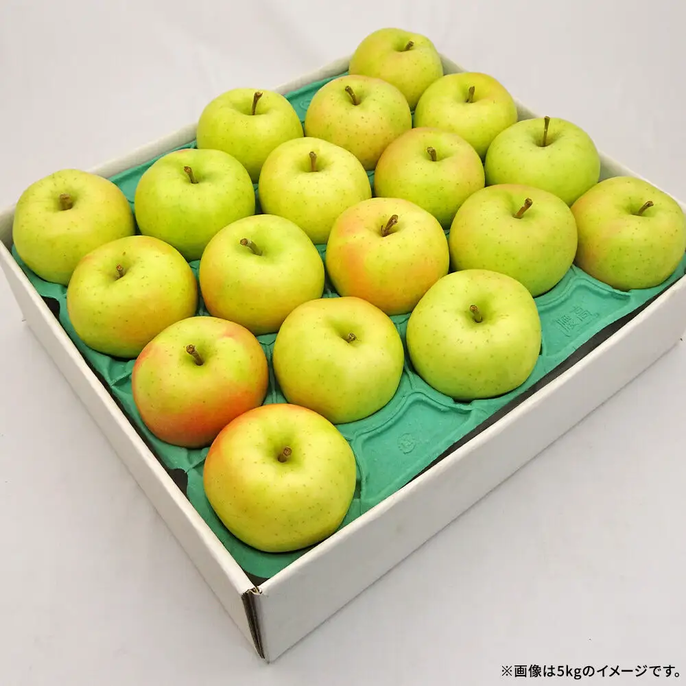 【26年10月発送】りんご トキ【良品】約5kg キタエアップル 青森県 弘前市