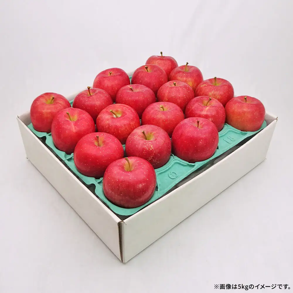 【26年10月発送】りんご 弘前ふじ【良品】約5kg キタエアップル 青森県 弘前市
